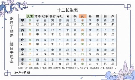 长生八字|八字十二長生解讀——長生